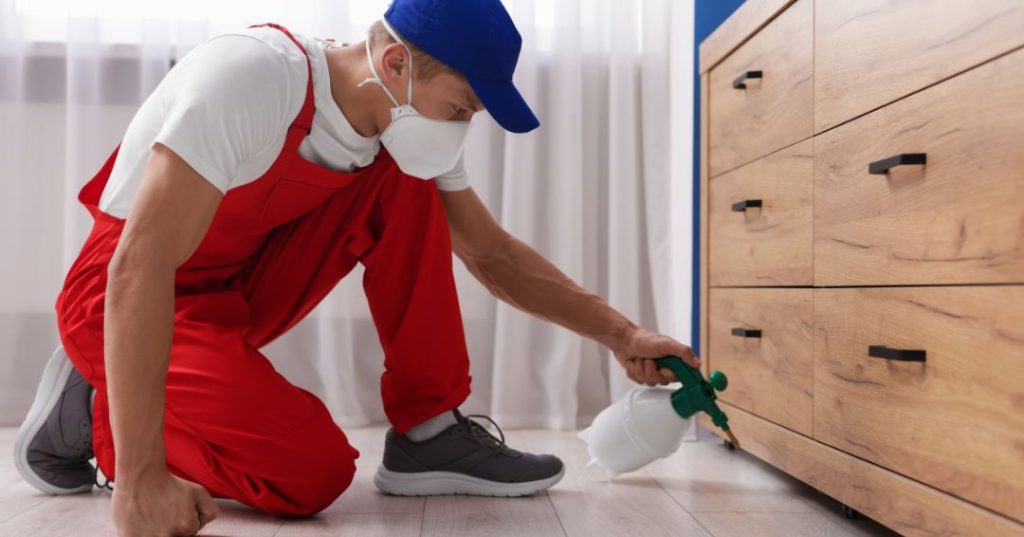 capa dedetizacao em Aracaju