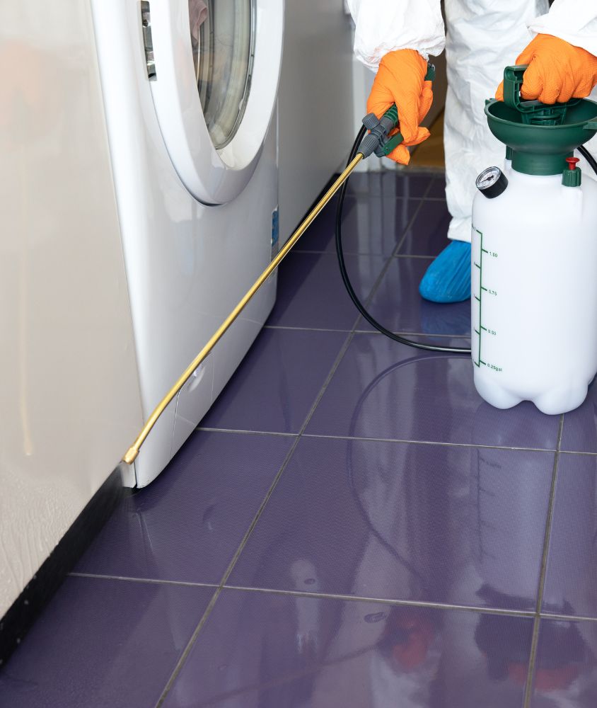 Dedetização em Aracaju