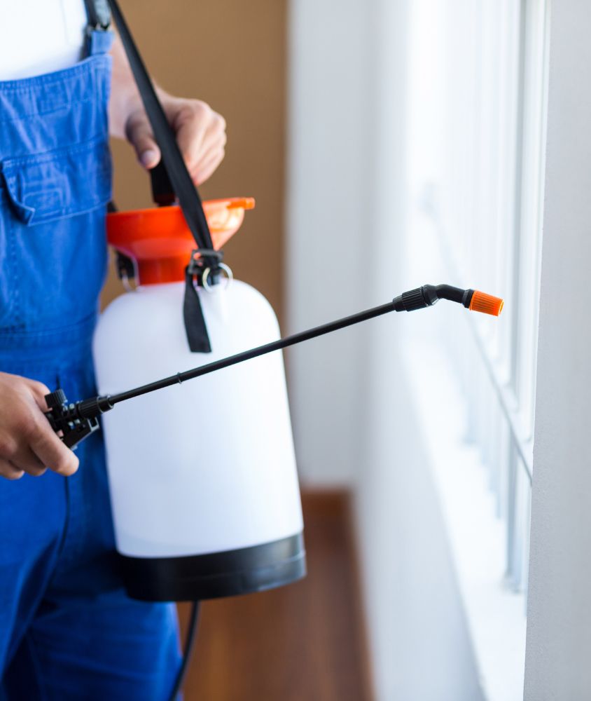 dedetizador em Aracaju