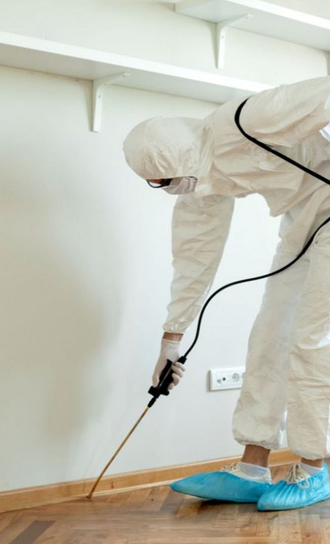 dedetizadora em Aracaju