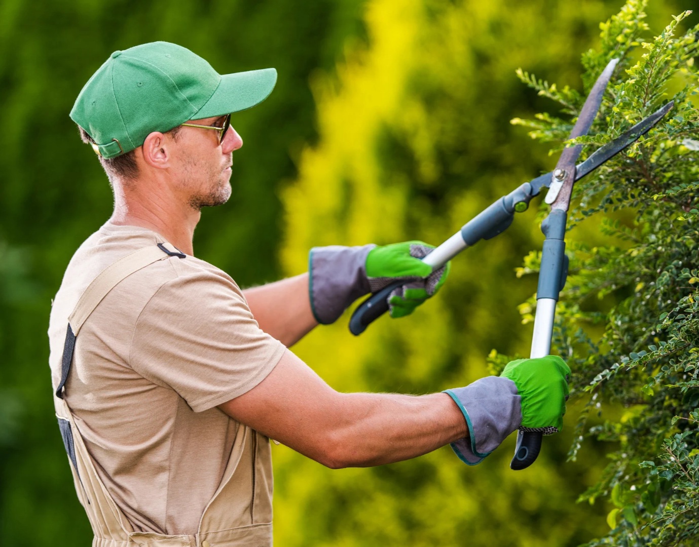 Como Montar um Jardim em Casa em Aracaju: 4 Ideias Simples Andre Menezes