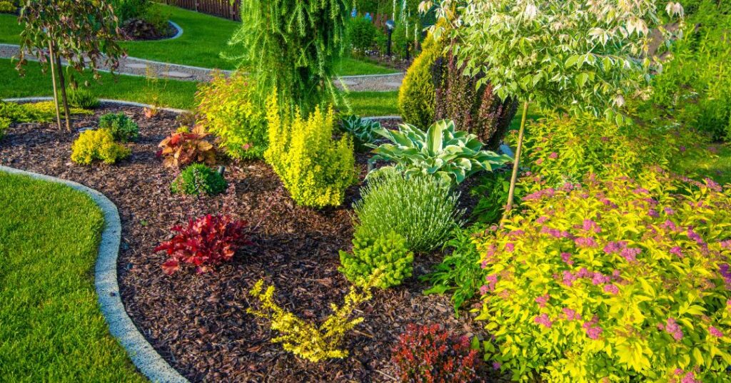 Como Manter o Jardim Bonito no Verão em Aracaju: 4 Cuidados Essenciais capa jardinagem em Aracaju