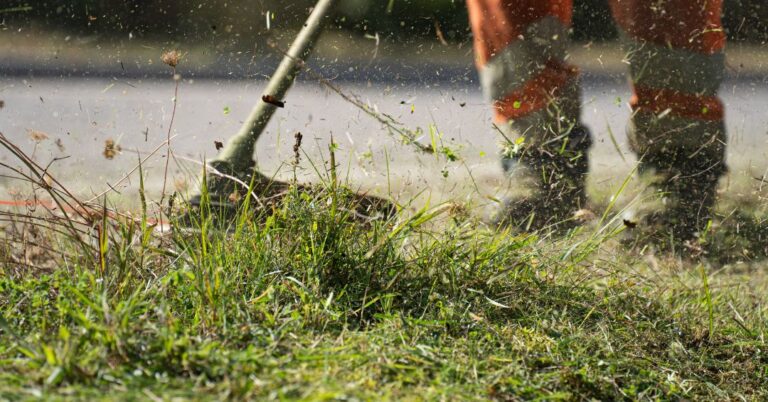 corte de grama em Aracaju